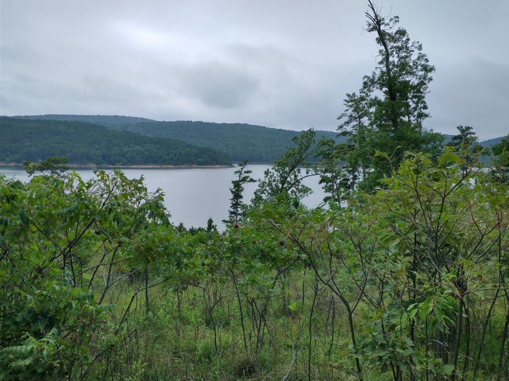img_20230707_111743088_hdr.jpg