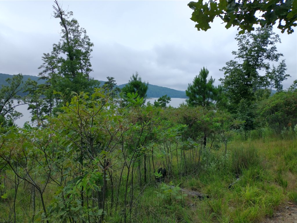 img_20230707_111746627_hdr.jpg