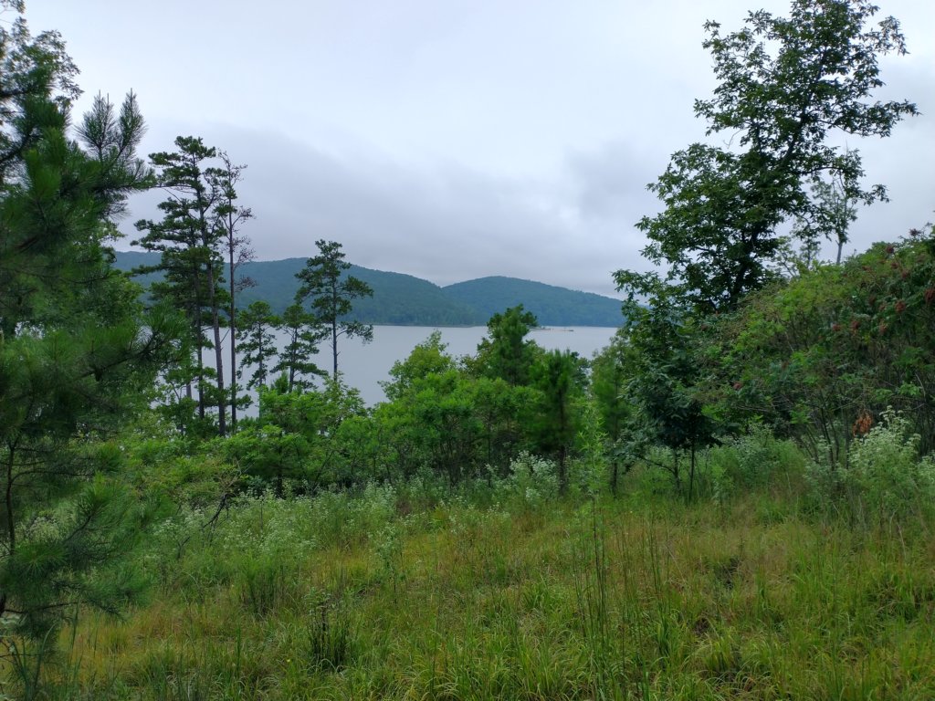 img_20230707_111807812_hdr.jpg