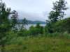 img_20230707_111807812_hdr_small.jpg