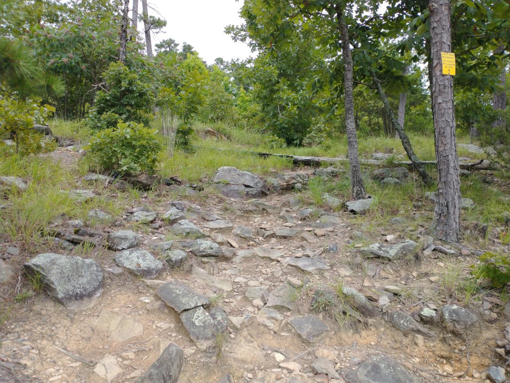 img_20230707_112348483.jpg