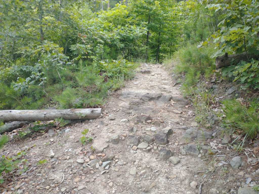 img_20230707_112505758.jpg