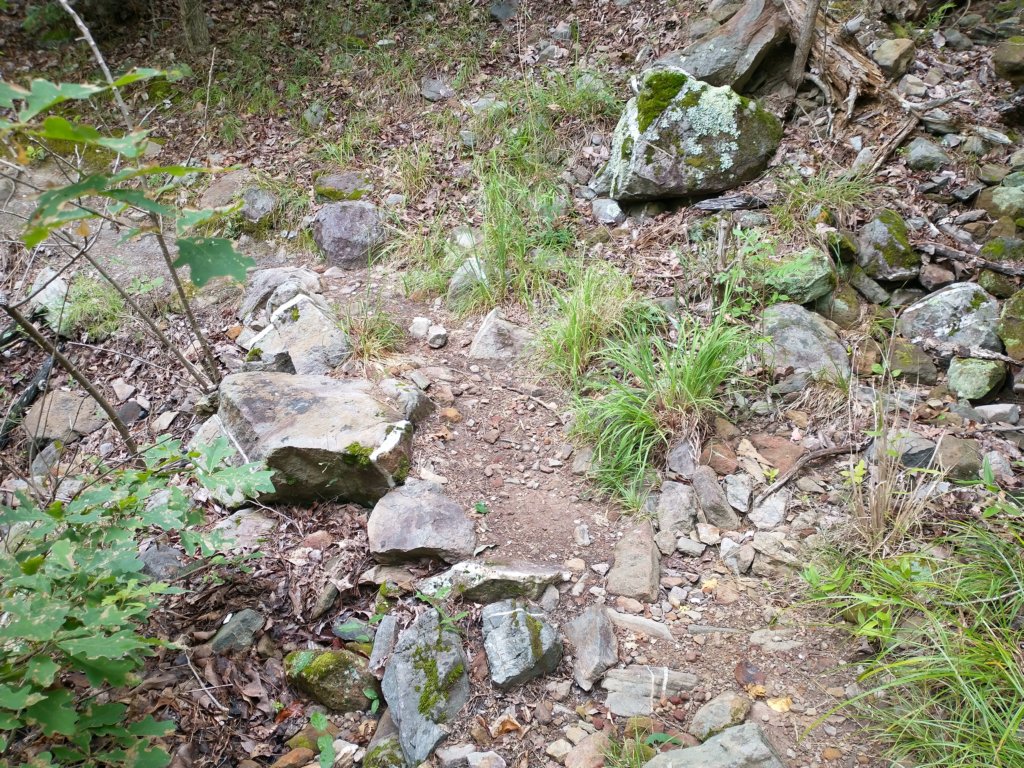 img_20230707_112725368_hdr.jpg