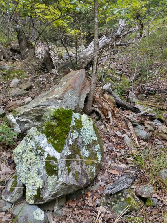 img_20230707_112742343_hdr.jpg