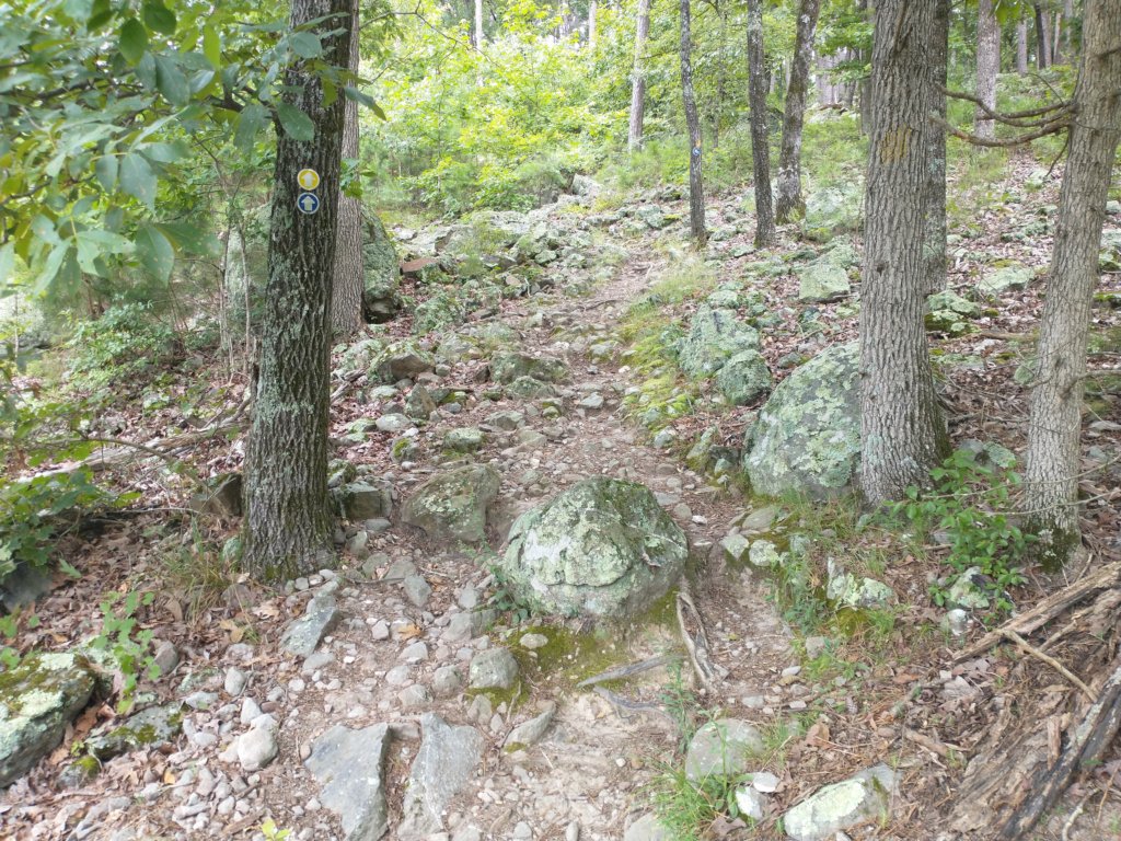 img_20230707_112817367.jpg