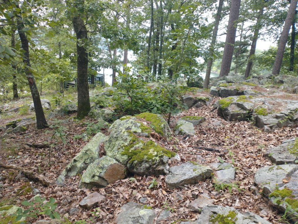 img_20230707_113458561.jpg