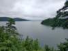 img_20230707_113723724_hdr_small.jpg