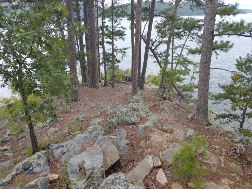 img_20230707_114534041.jpg
