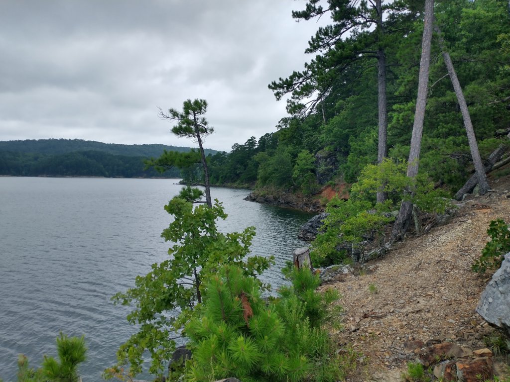 img_20230707_114636383_hdr.jpg