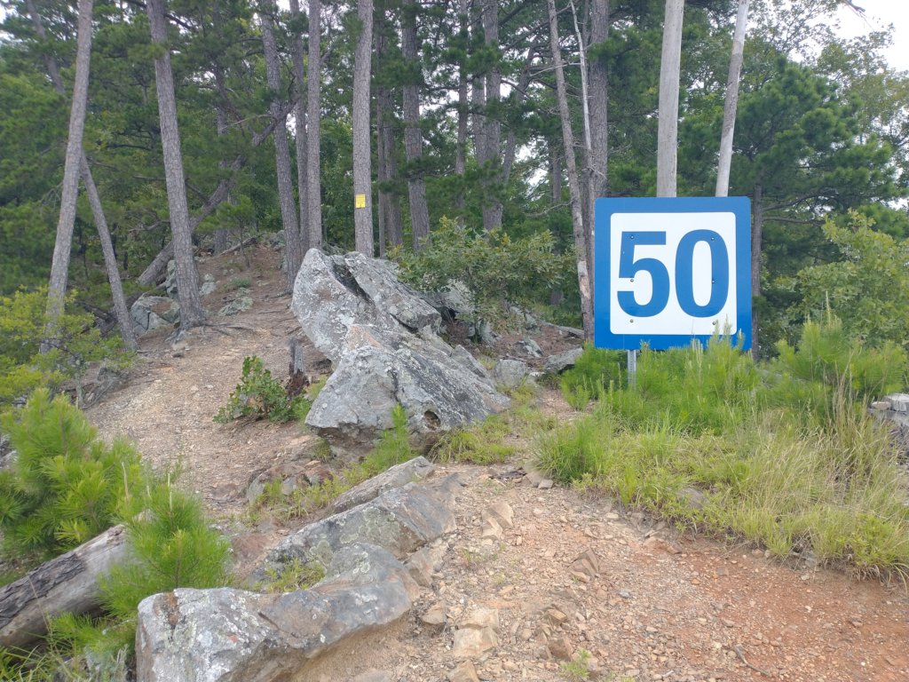 img_20230707_114652172.jpg