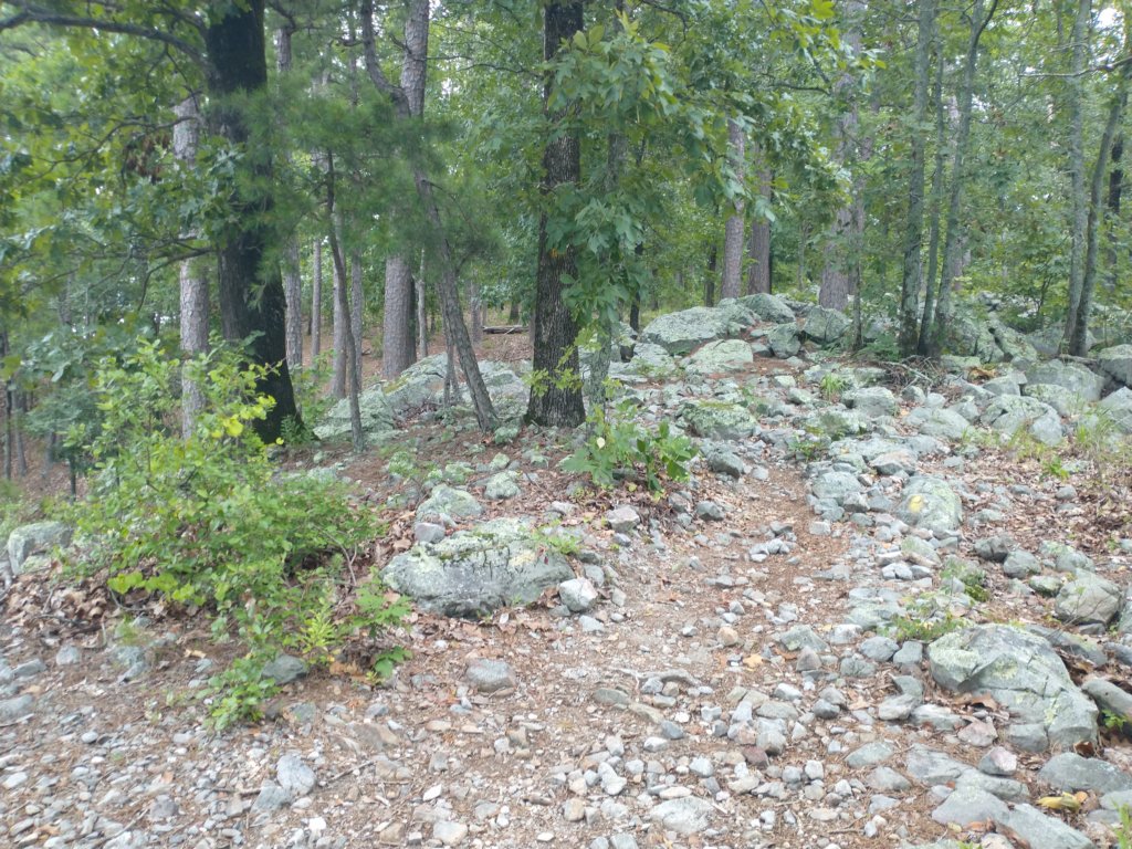 img_20230707_114854533.jpg