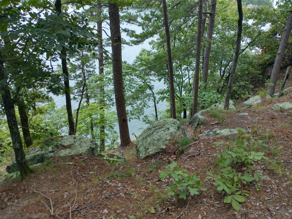 img_20230707_114951720_hdr.jpg