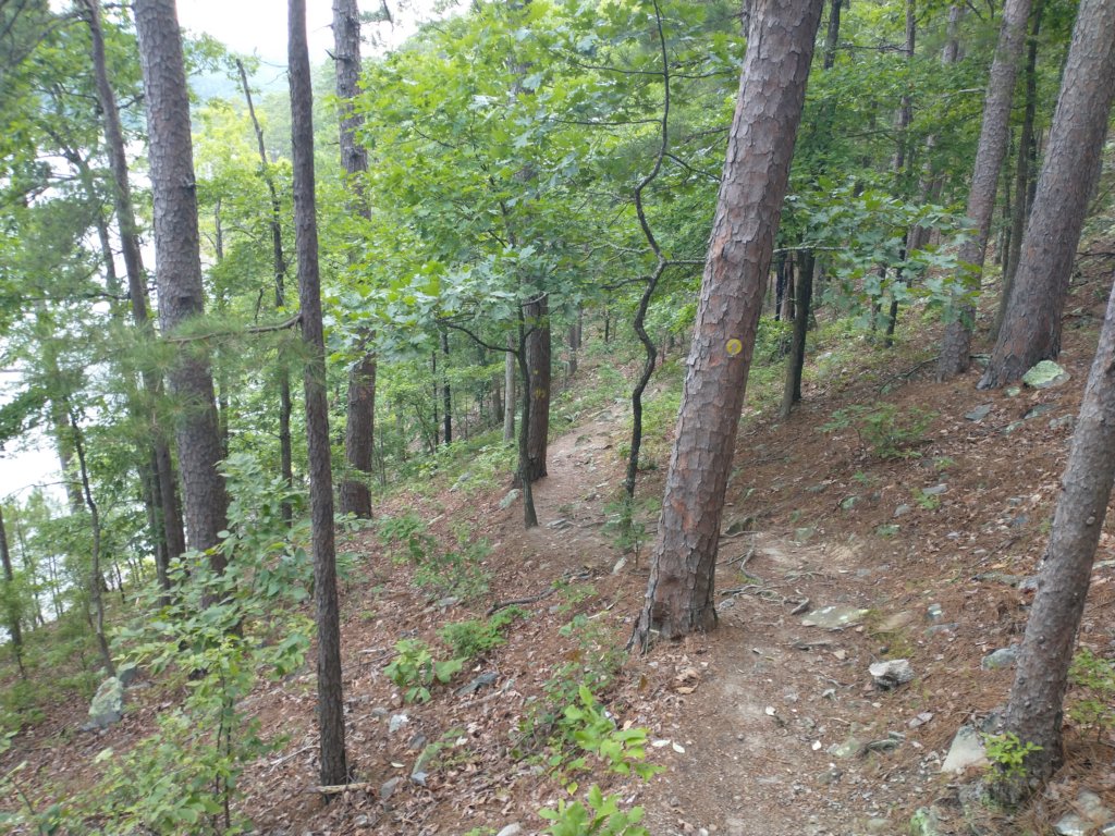 img_20230707_115138346.jpg