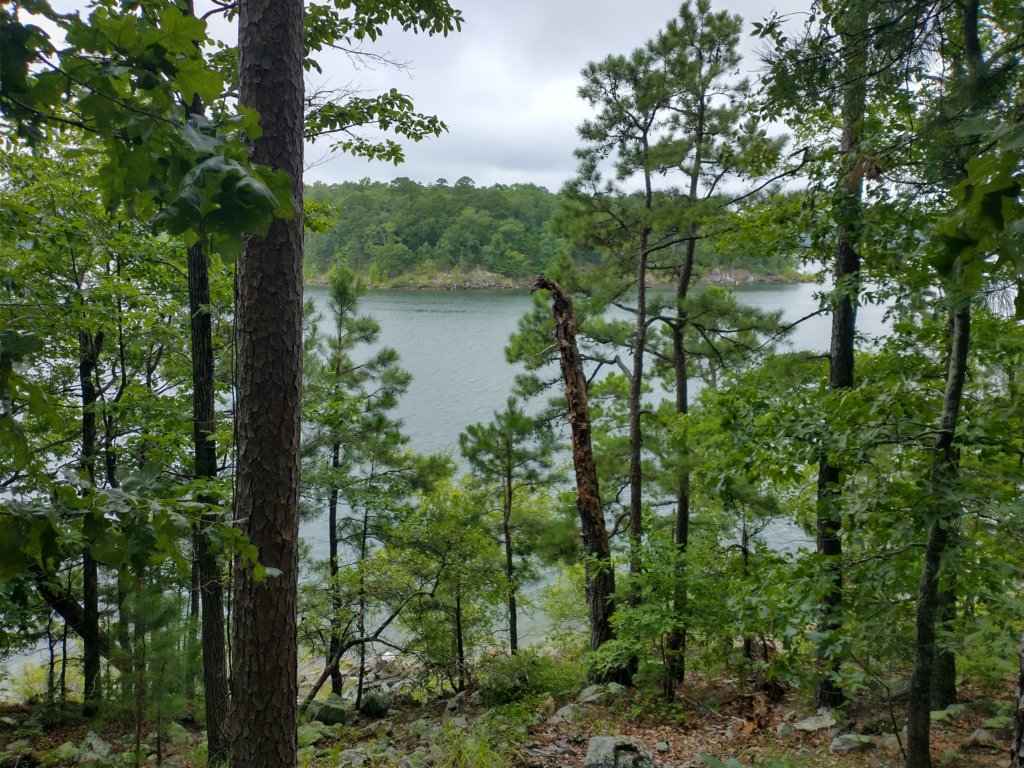 img_20230707_115341760_hdr.jpg