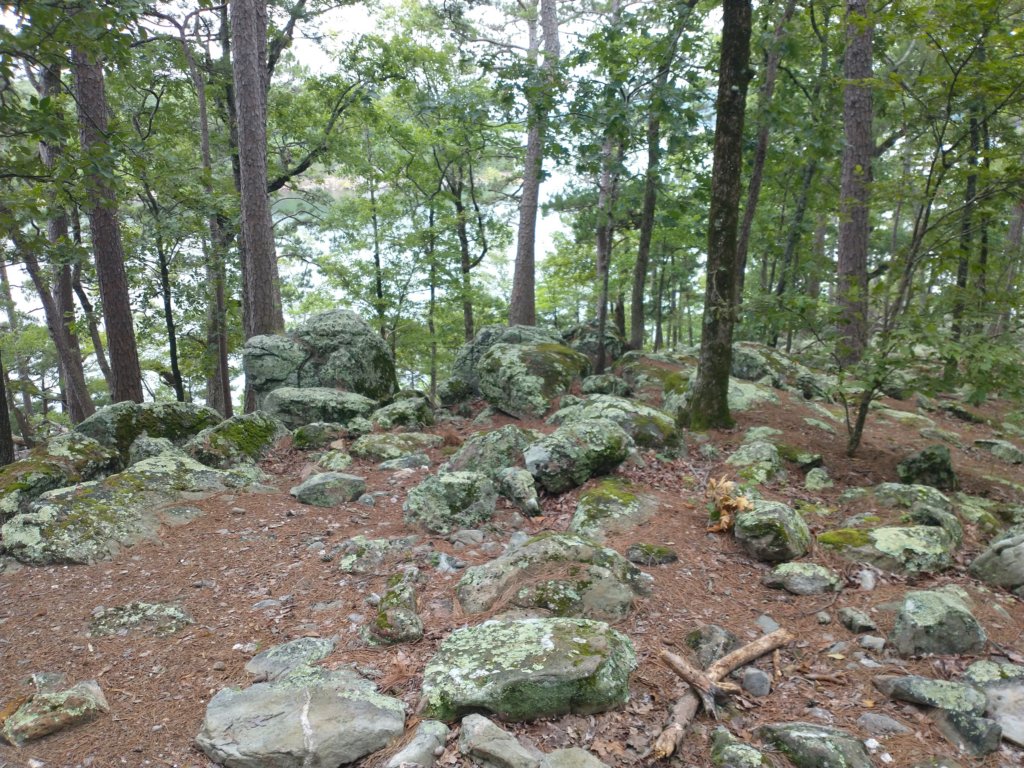img_20230707_115552338.jpg
