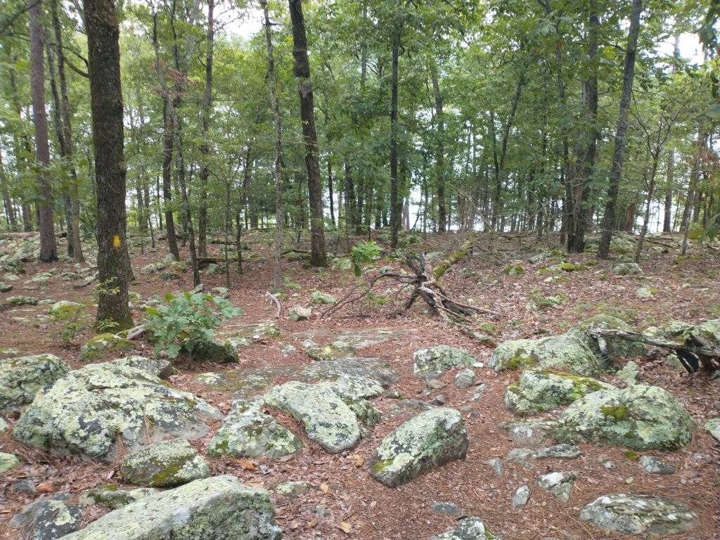 img_20230707_115557821.jpg