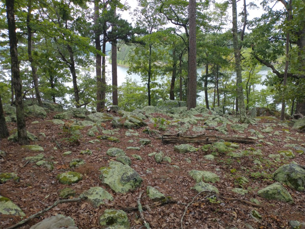 img_20230707_115643561.jpg