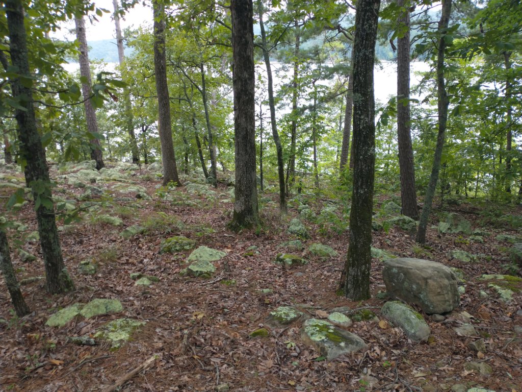 img_20230707_115731029.jpg