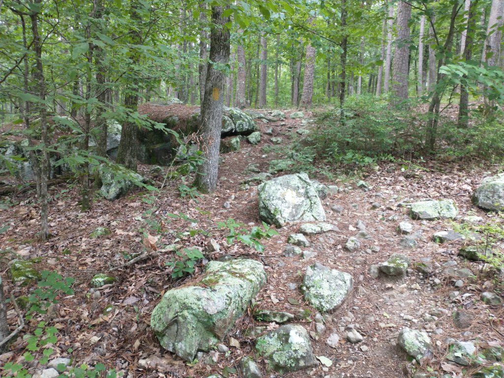 img_20230707_120333630.jpg