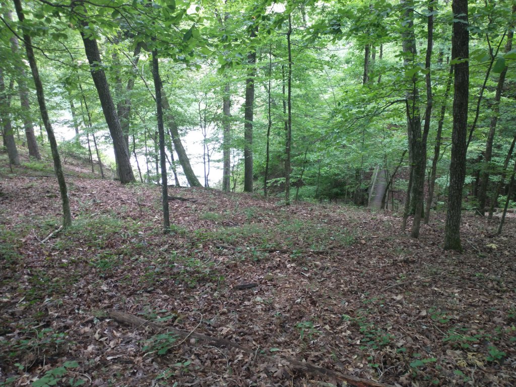 img_20230707_120957337.jpg