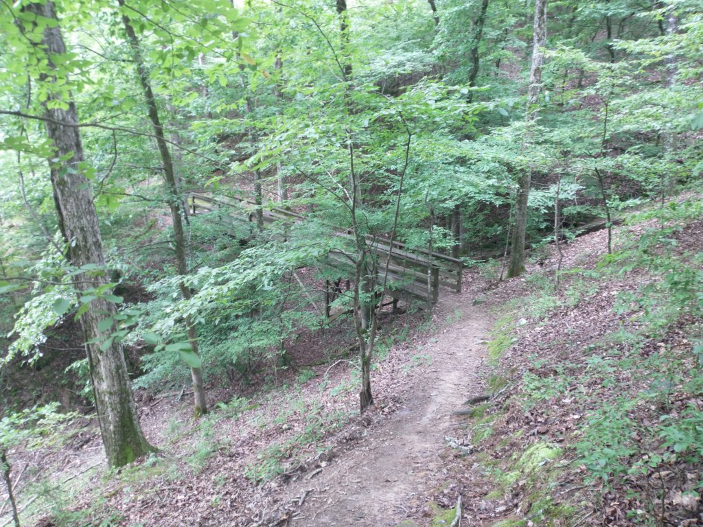 img_20230707_121033618.jpg