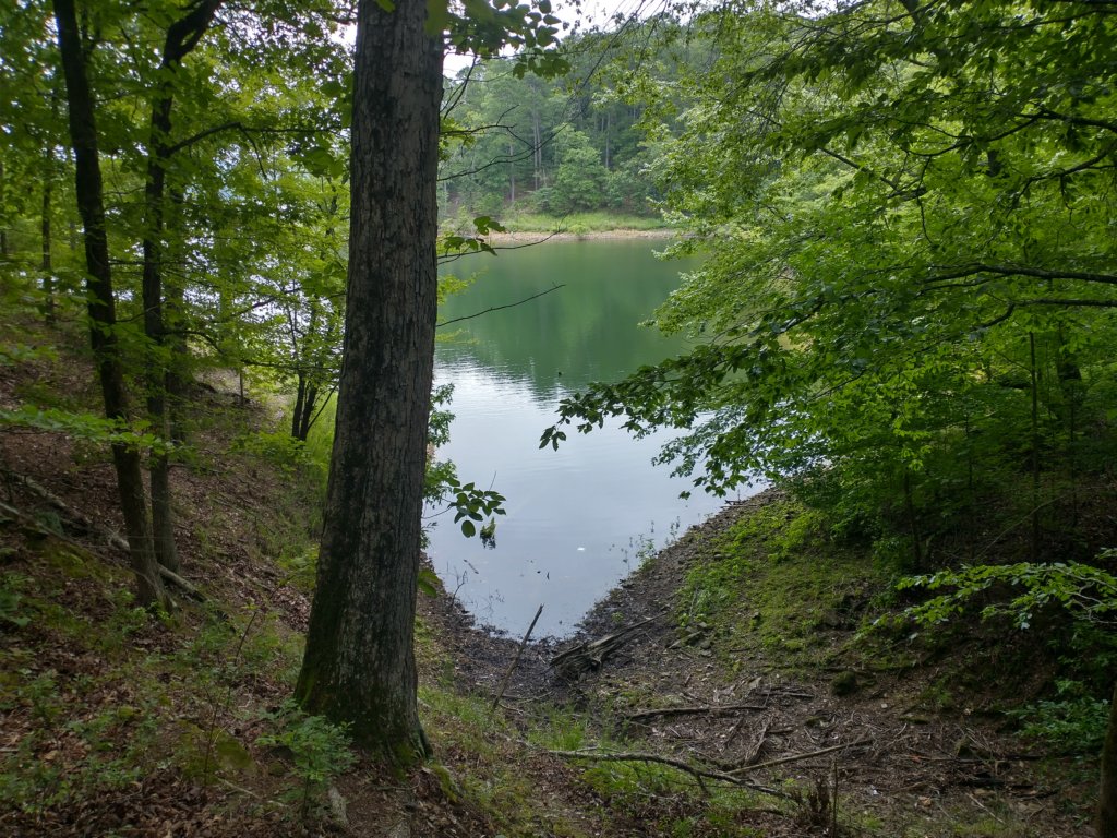 img_20230707_121055507_hdr.jpg
