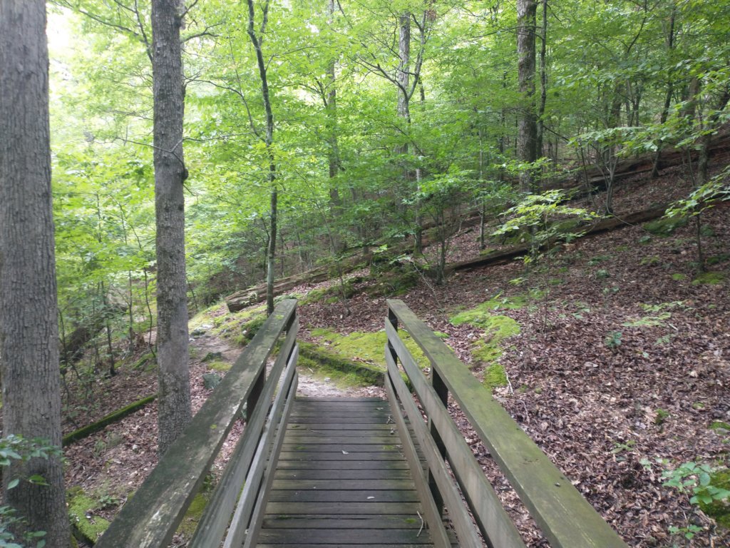 img_20230707_121135659.jpg