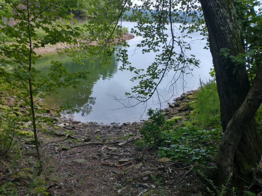 img_20230707_121207526_hdr.jpg