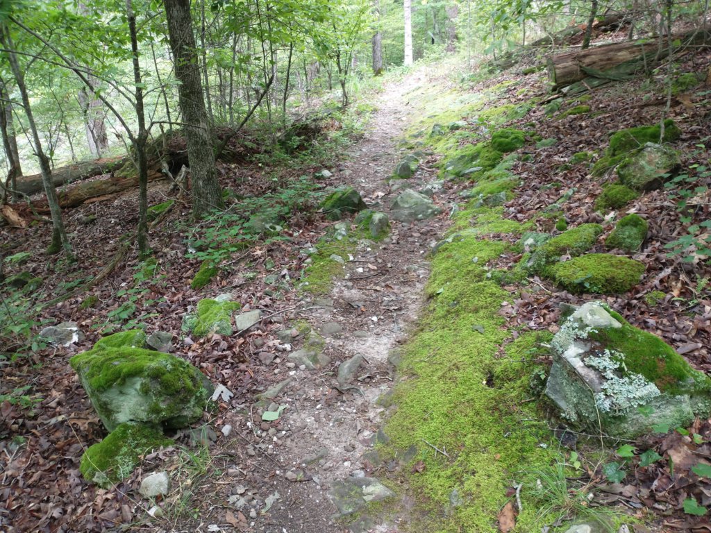 img_20230707_121439455.jpg
