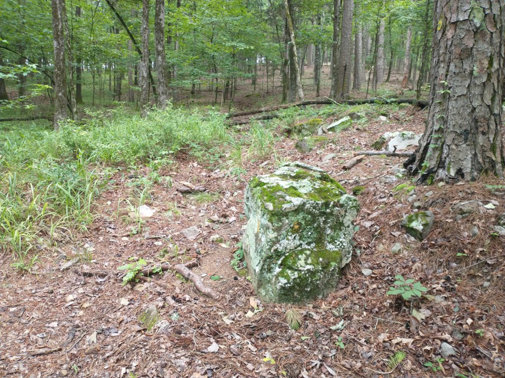 img_20230707_121736723.jpg