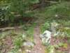 img_20230707_121743763_small.jpg