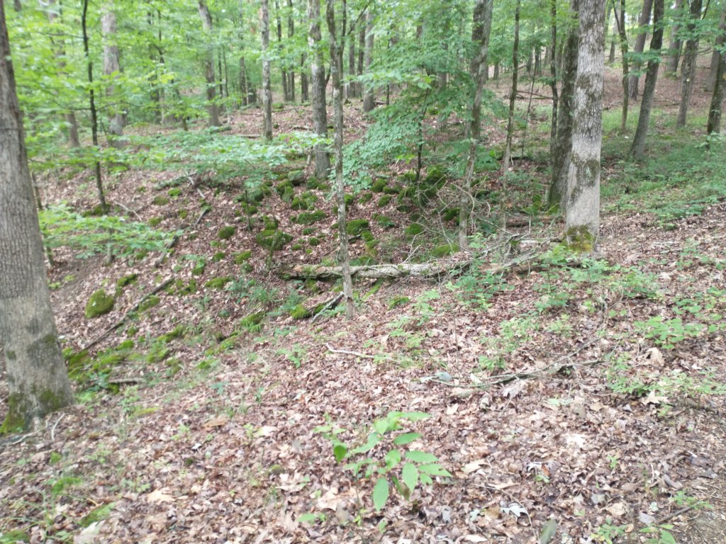 img_20230707_122548064.jpg