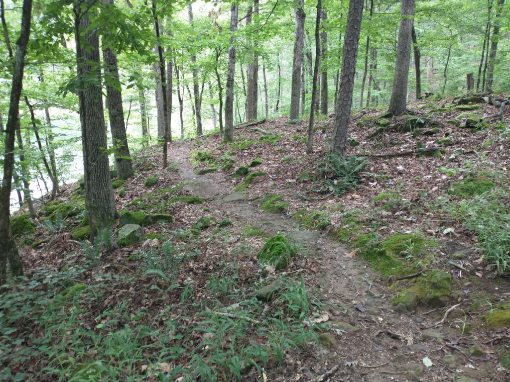 img_20230707_122609713.jpg