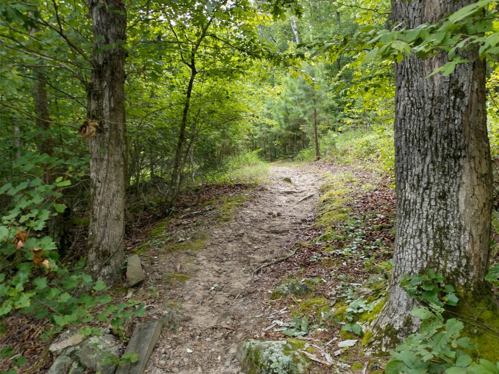 img_20230707_123048035_hdr.jpg