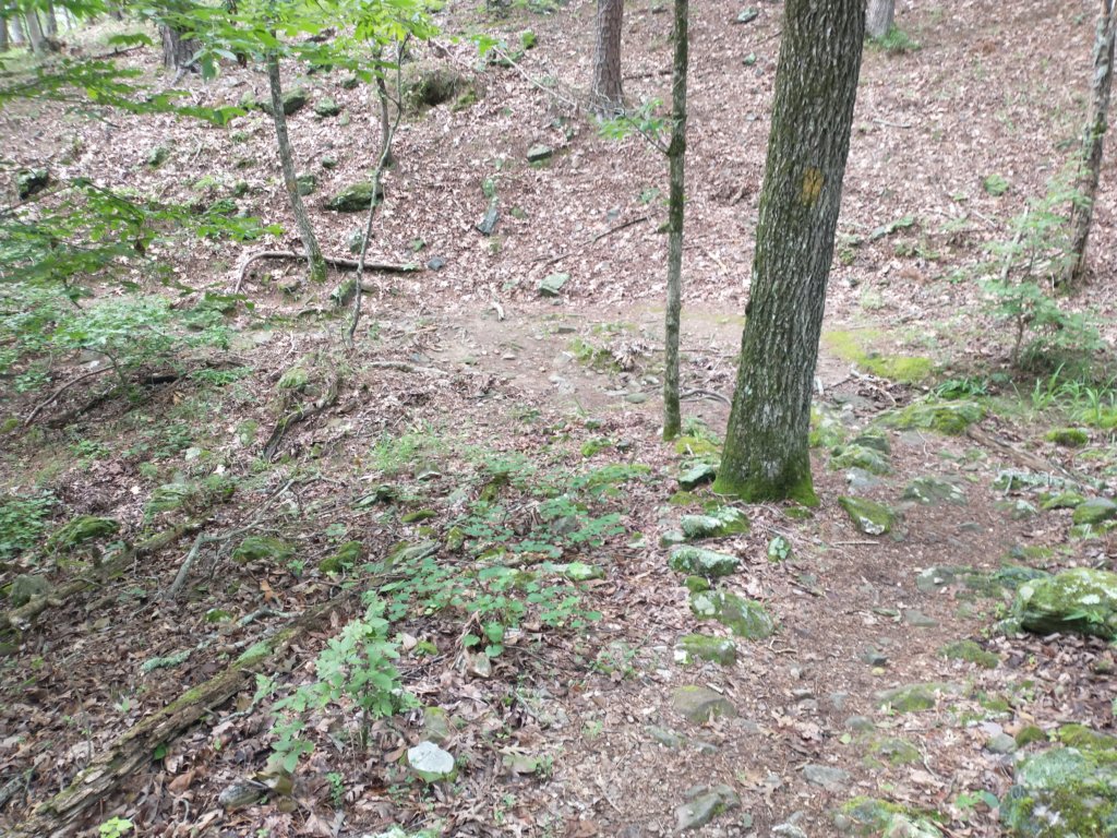 img_20230707_124223472.jpg