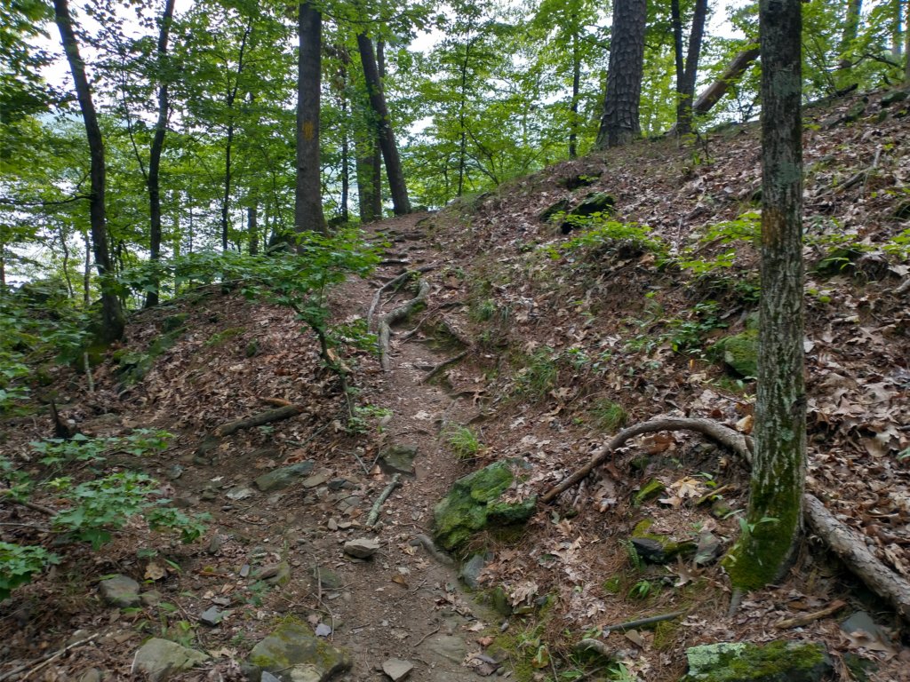 img_20230707_124242131_hdr.jpg