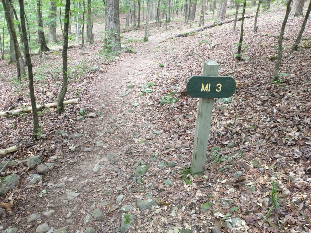 img_20230707_124614382.jpg