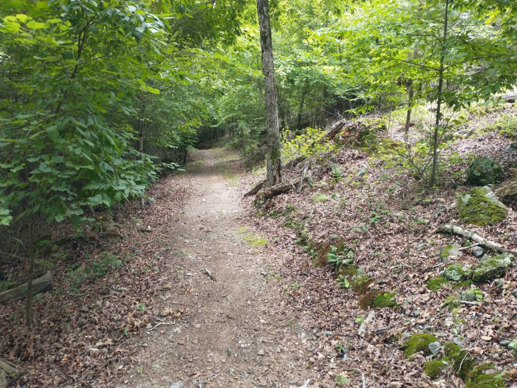 img_20230707_125114640.jpg