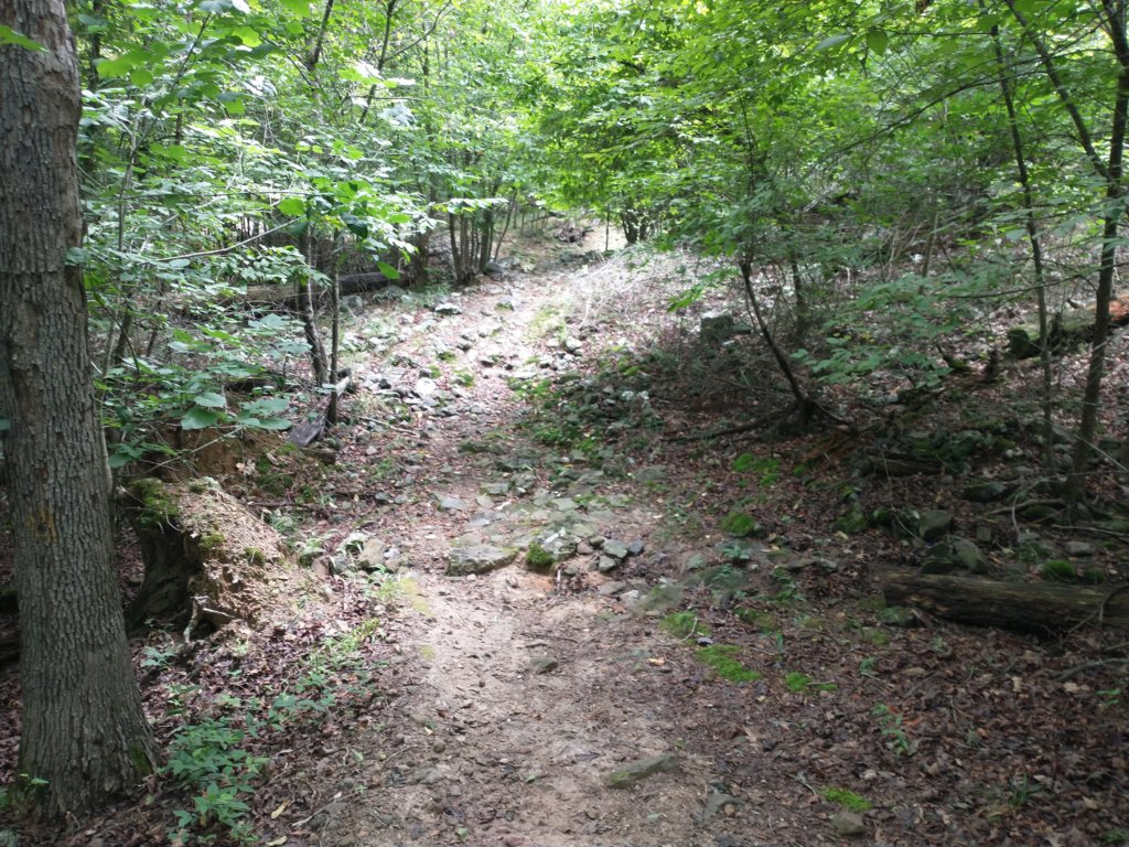 img_20230707_125201842.jpg