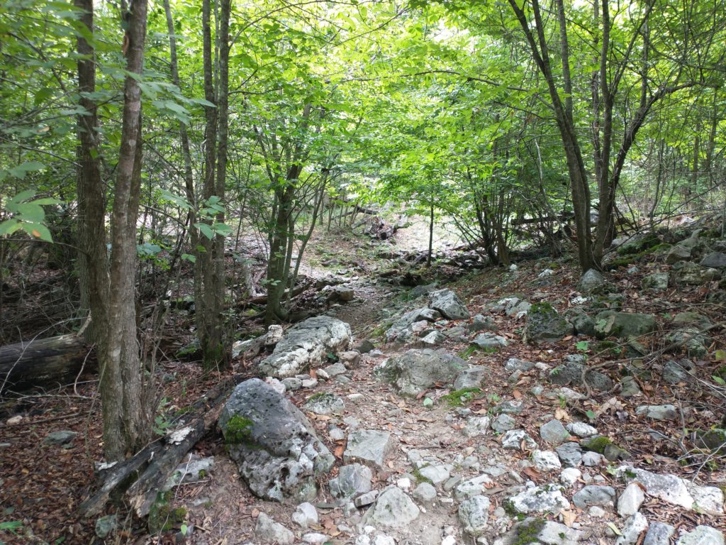 img_20230707_125228101.jpg