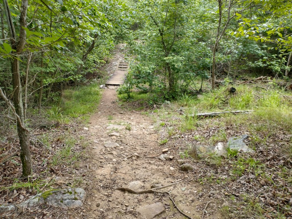 img_20230707_130302790_hdr.jpg