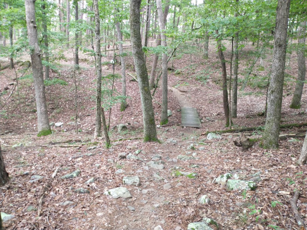 img_20230707_131512708.jpg