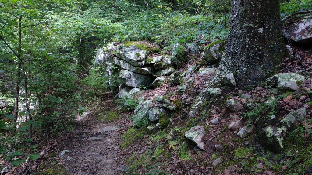 img_20170729_120141542.jpg