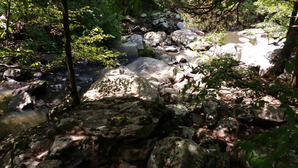 img_20170729_121810346.jpg
