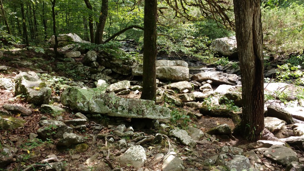 img_20170729_124139813.jpg