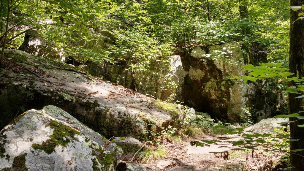 img_20170729_130404786_hdr.jpg