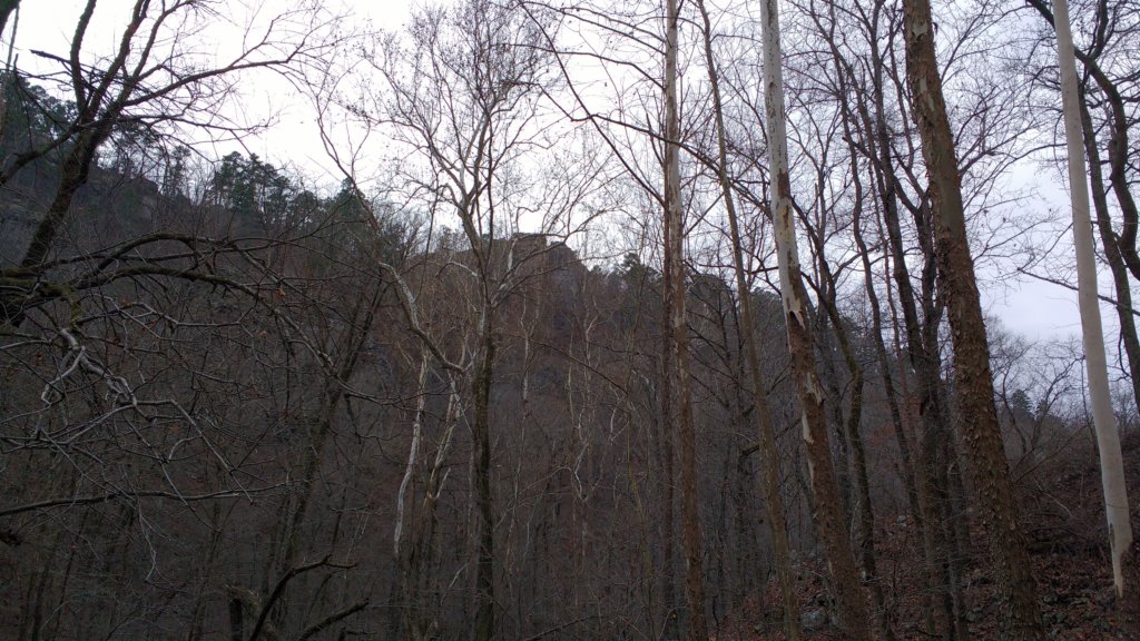 img_20171229_122054651.jpg