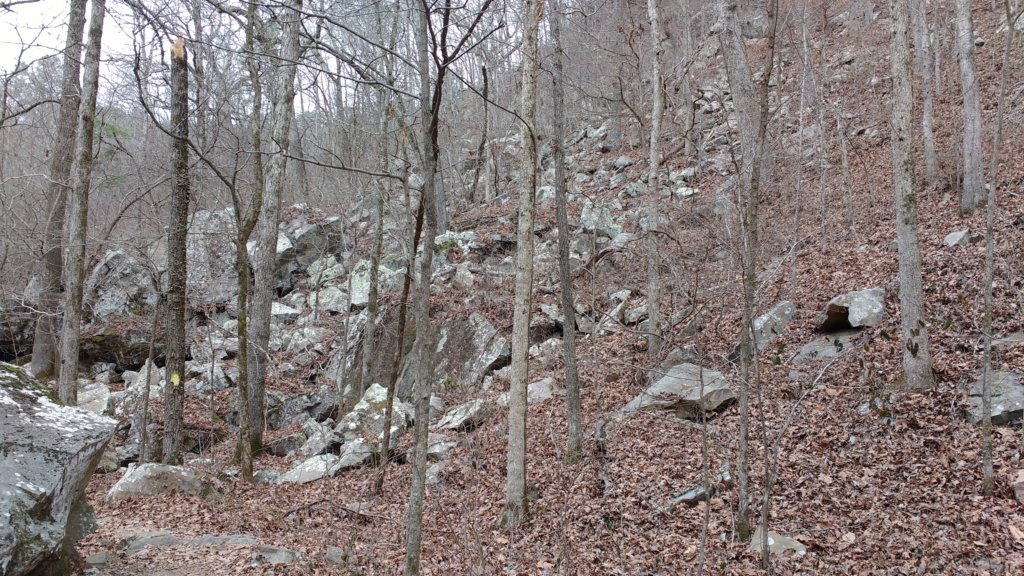 img_20171229_122641787.jpg