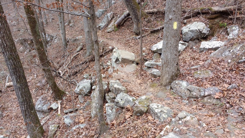 img_20171229_123714558.jpg