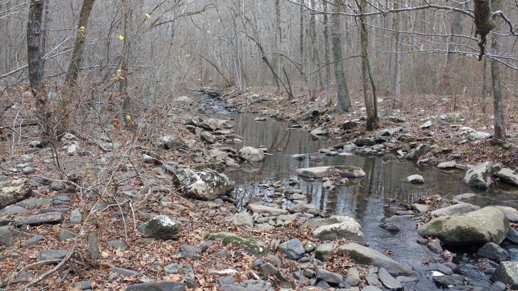 img_20171229_124225635.jpg